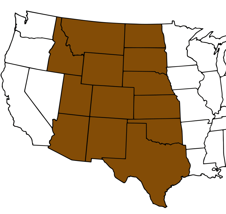 Antler Routes | Petska Fur